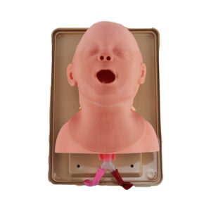 Cabeça para Intubação Neonatal SIT703