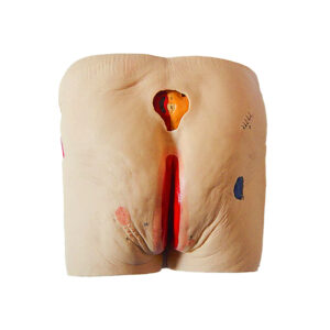 Simulador para Tratamento de Ulcera do Decúbito STG105