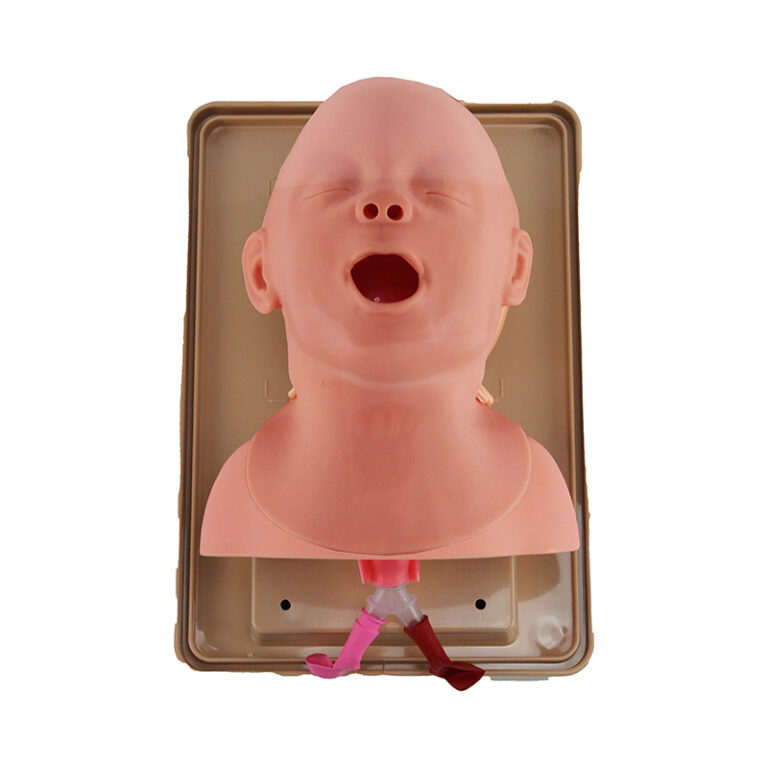 Cabeça para Intubação Neonatal SIT703