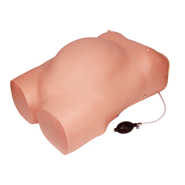 Simulador de Maternidade SGO302