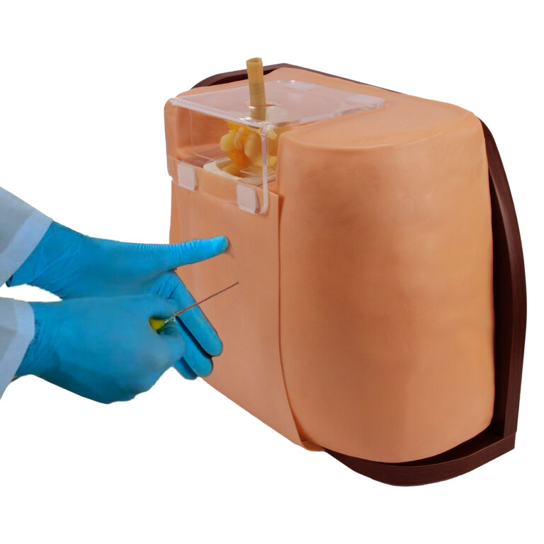 Simulador Punção Lombar Adulto SPL552